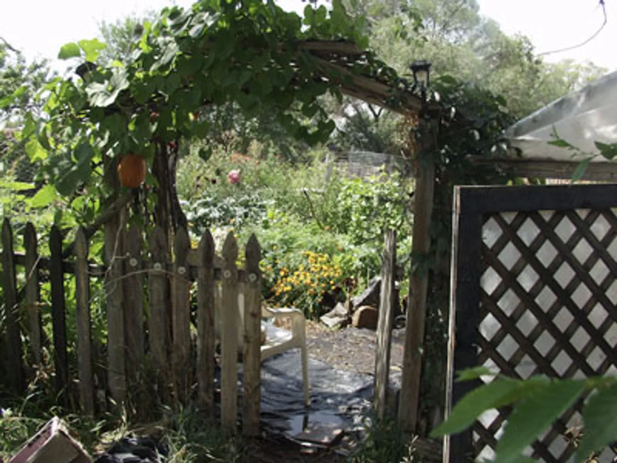 Hildegard von Bingen - garden