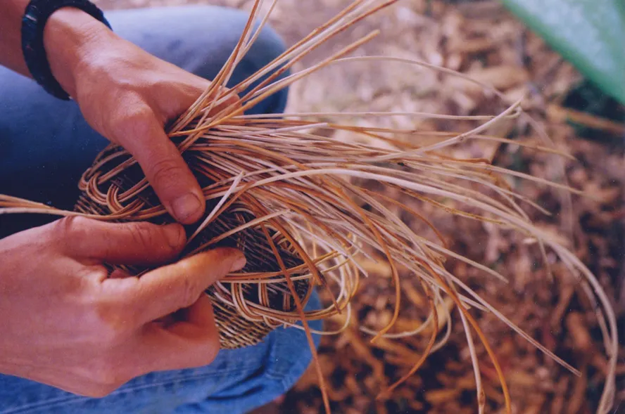Traditional Cherokee Basketry