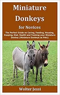 Miniature Donkeys for Novices