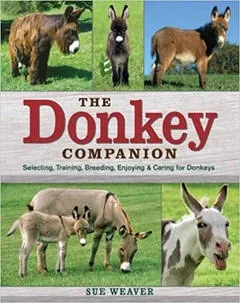The Donkey Companion