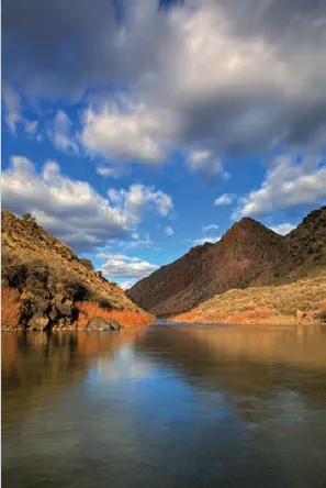 Photo by Garaint Smith