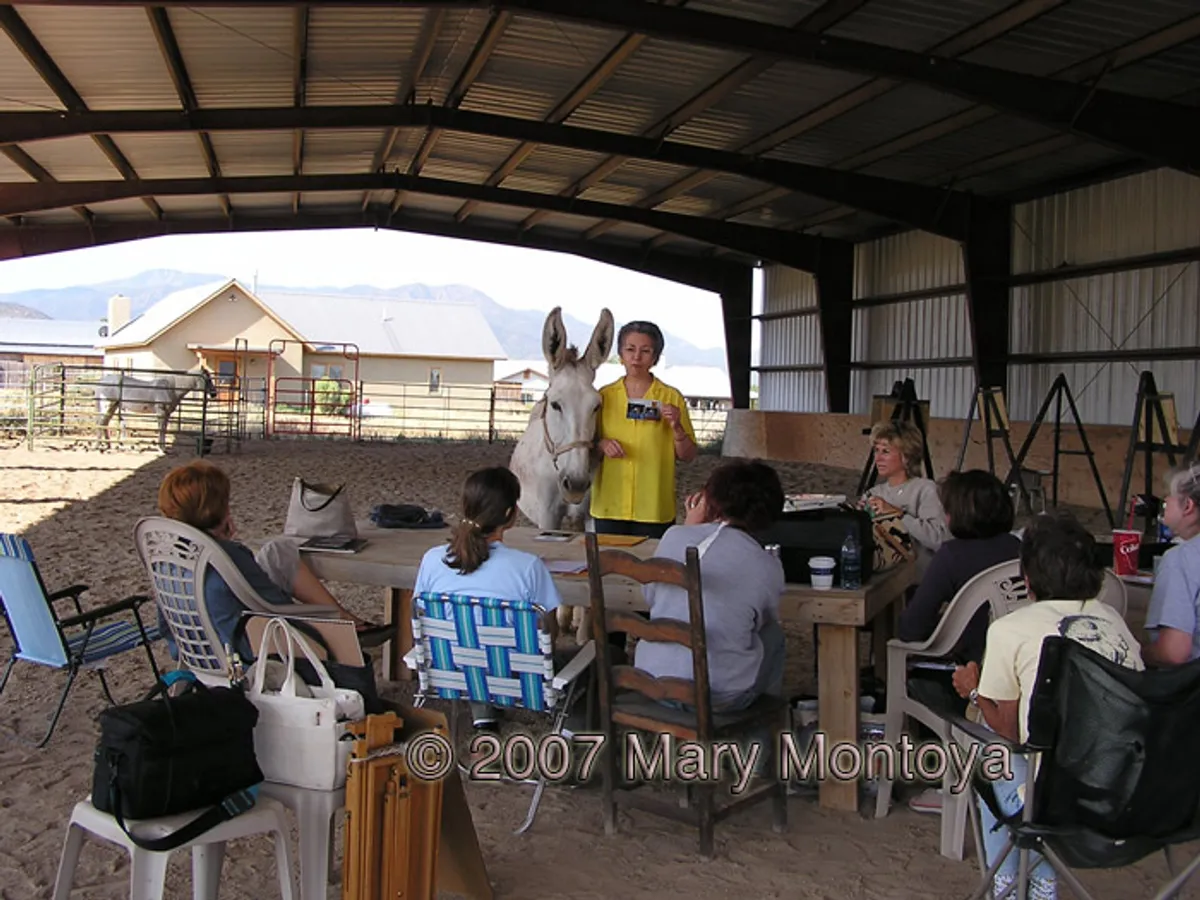 Our equine classes are held in a local barn 
