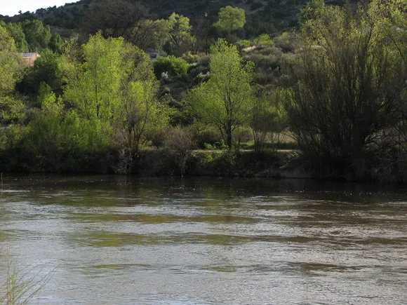 This scene adjacent to our classroom site offers endless possibilities to paint reflections.