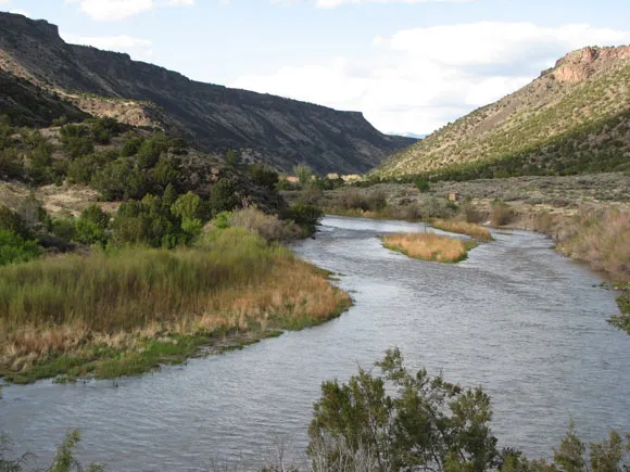Our first day will spent at this riparian area of cottonwoods and willows growing along the river banks. Here the water is shimmering and slow, the trees provide homes for a variety of small birds and beaver often swim near the shore.