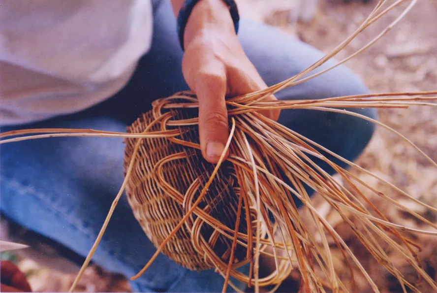 Cherokee Basket in the making 