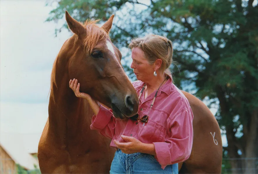 Horse admiration