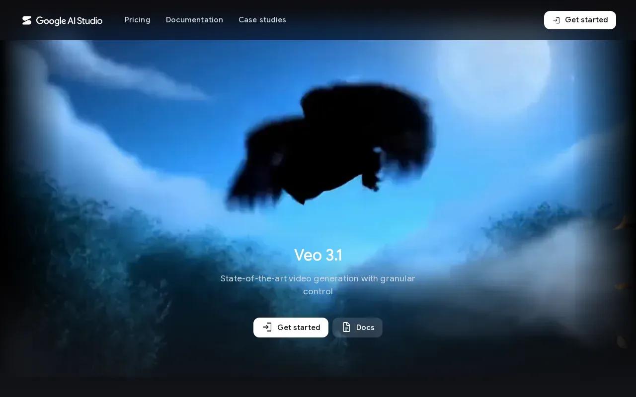 Screenshot of the Google Veo website