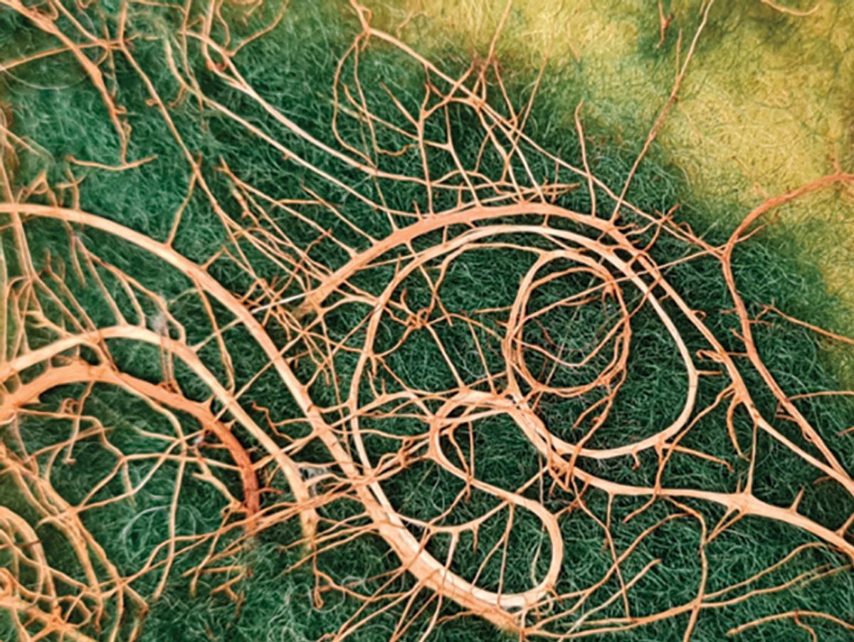 Nature's Own Intellectual Creation: Copyright in Creative Expressions ...