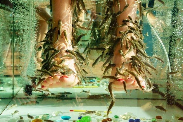 Garra Rufa Pedicure Dr. Fish 