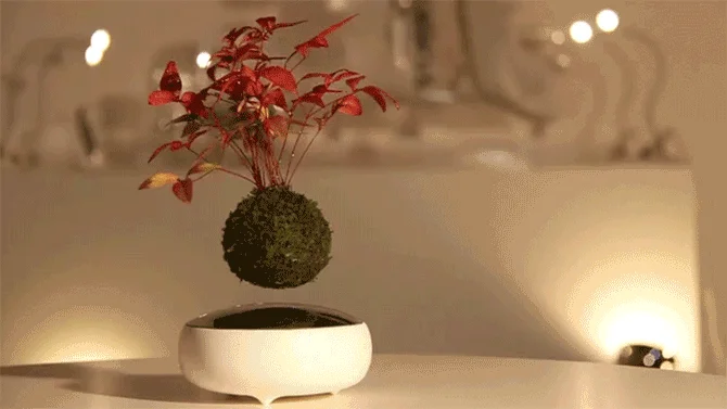Floating Bonsai Pot