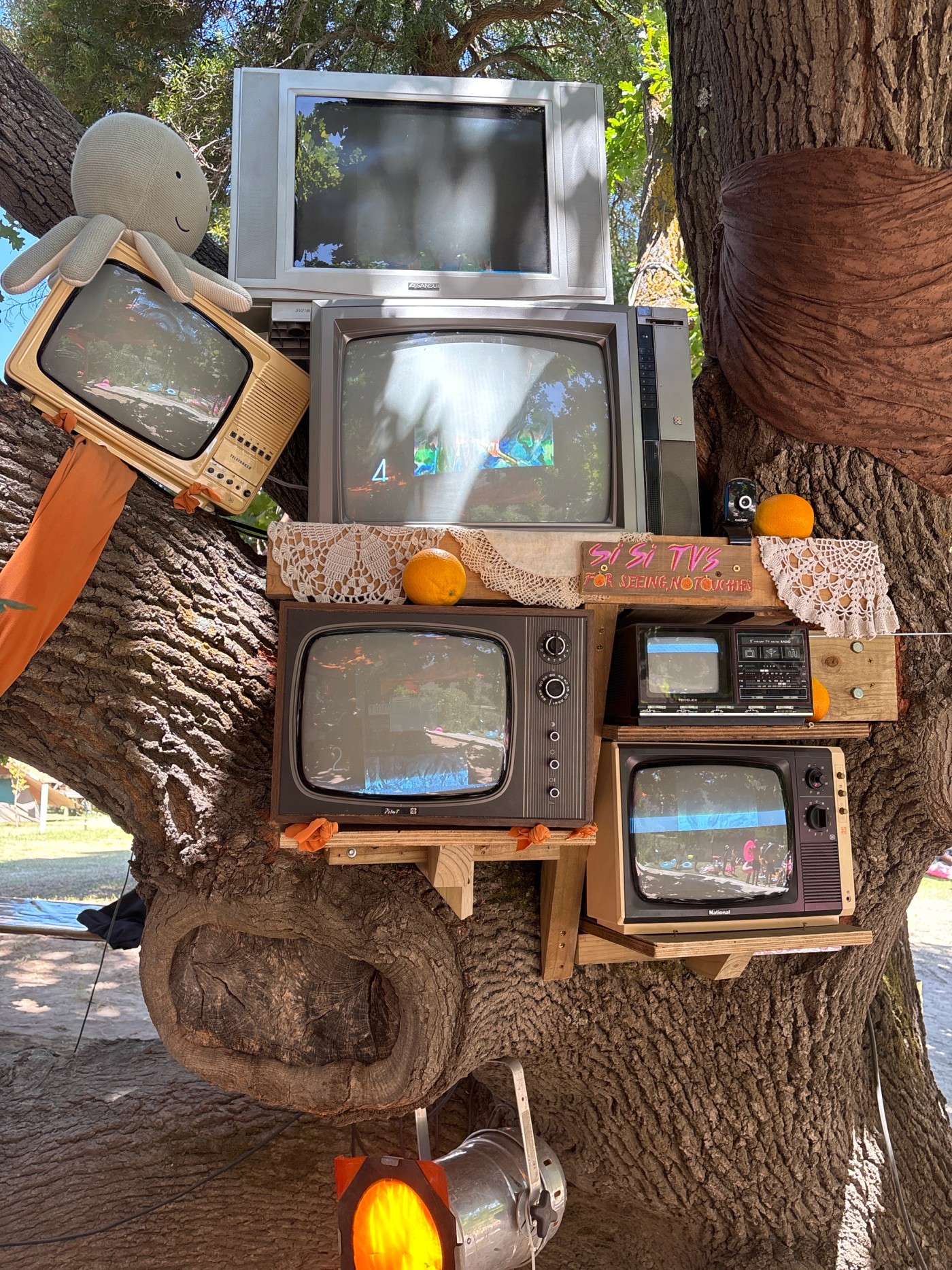 CRT TVs stacked in an old tree