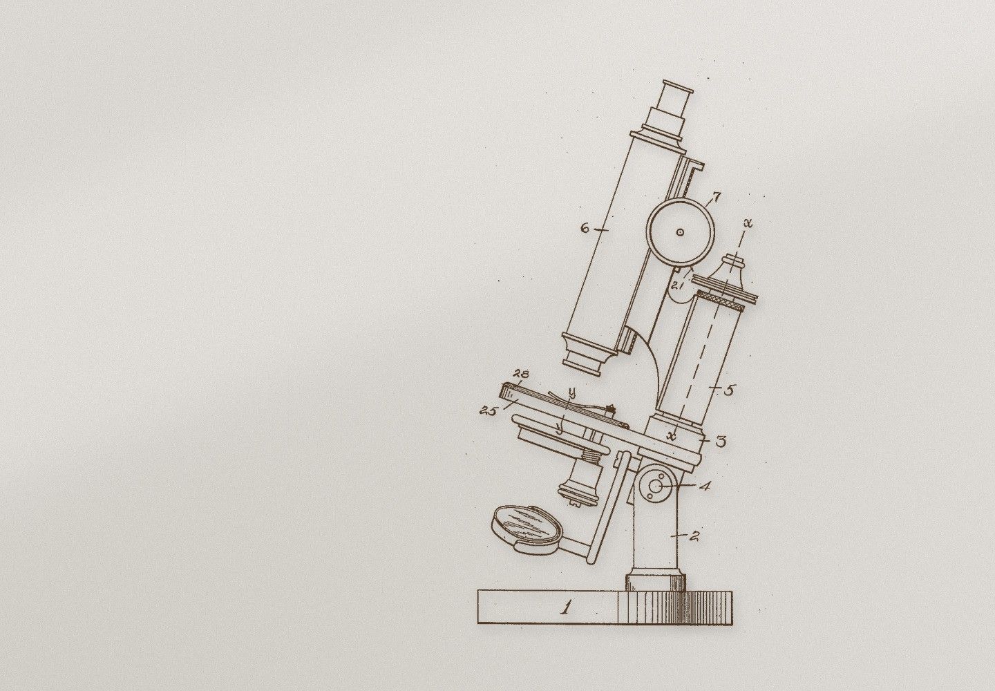 Engraving-style line drawing of a microscope