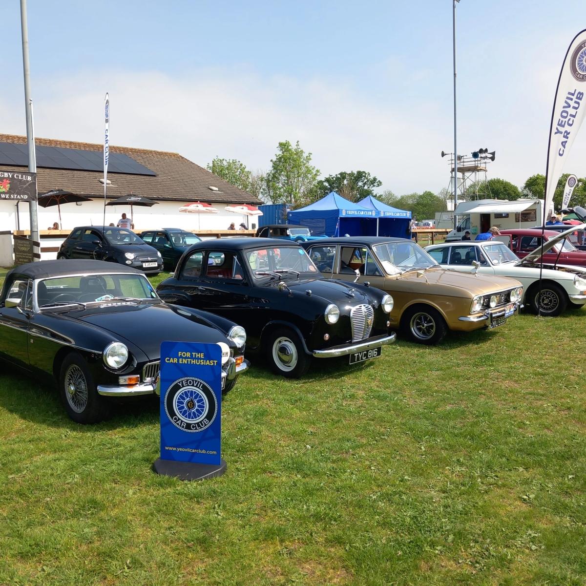 Members Film Night Meet