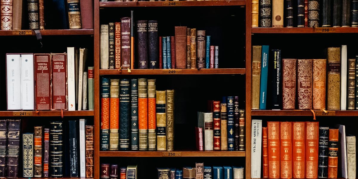 Rentrée littéraire 2026 : les livres francophones à ne pas manquer