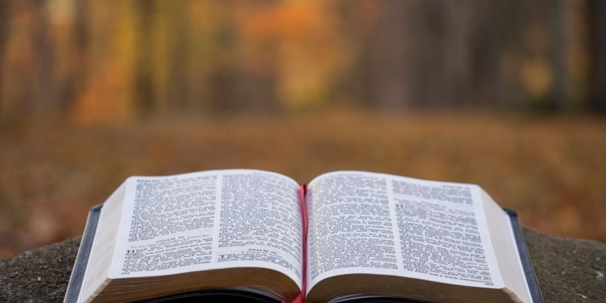 Guide du polar africain : 5 romans pour entrer dans le genre