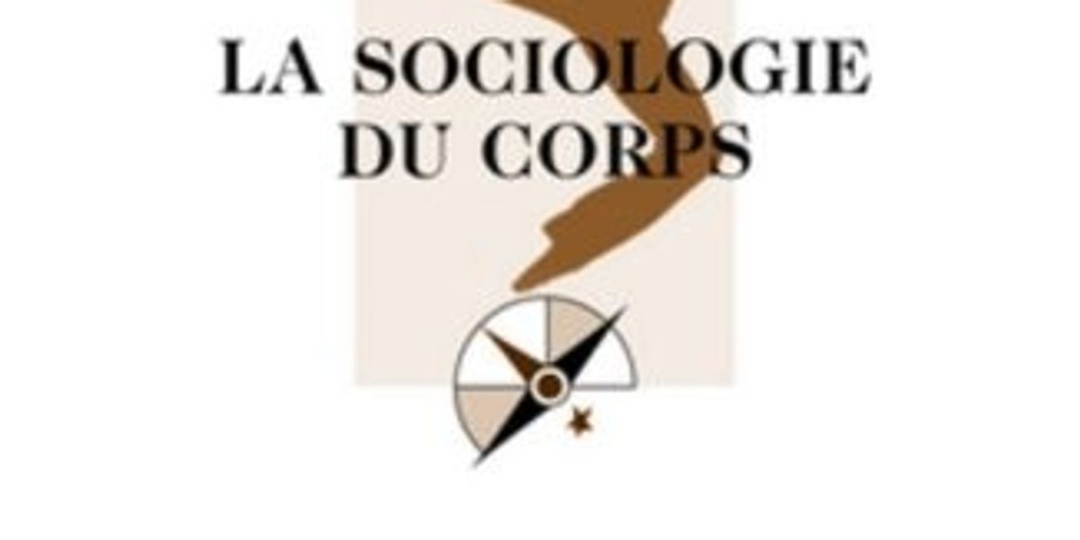 Sociologie : comprendre la société sur Yupata