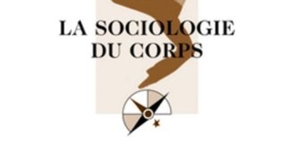 Sociologie : comprendre la société sur Yupata