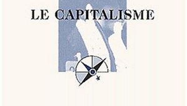 Comprendre le capitalisme : essais et critiques sur Yupata