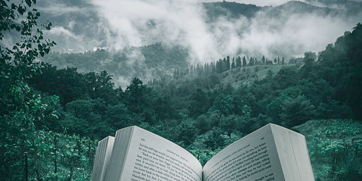 Léonora Miano : la voix qui réconcilie l'Afrique et sa diaspora