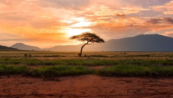 5 livres essentiels pour comprendre l'histoire de l'Afrique