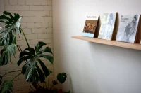 Jacky Winter Gallery