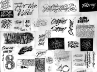 Jacky Winter Gallery