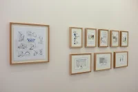 Jacky Winter Gallery