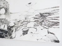 Jacky Winter Gallery