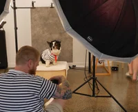 Jacky Winter Gallery