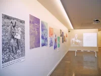 Jacky Winter Gallery