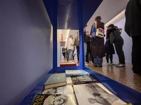 Jacky Winter Gallery