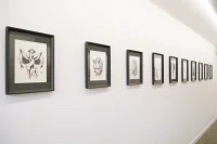 Jacky Winter Gallery