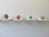 Jacky Winter Gallery