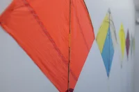 Jacky Winter Gallery