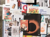 Jacky Winter Gallery