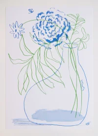 Jacky Winter Gallery