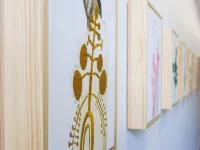 Jacky Winter Gallery