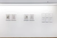 Jacky Winter Gallery