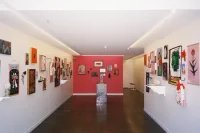 Jacky Winter Gallery