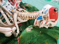 Jacky Winter Gallery