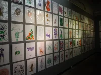 Jacky Winter Gallery