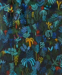 Jacky Winter Gallery