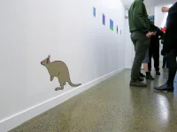 Jacky Winter Gallery