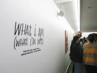 Jacky Winter Gallery