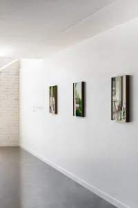 Jacky Winter Gallery