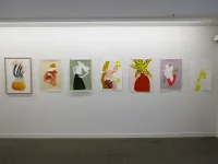 Jacky Winter Gallery