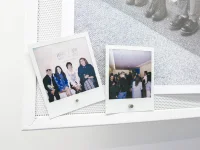 Jacky Winter Gallery