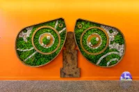 Jacky Winter Gallery