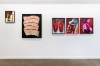 Jacky Winter Gallery