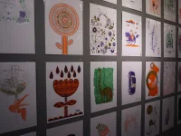 Jacky Winter Gallery